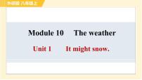 外研版 (新标准)八年级上册Module 10 The weather综合与测试习题课件ppt