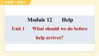 外研版 (新标准)八年级上册Module 12 Help综合与测试习题ppt课件
