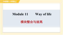 外研版 (新标准)八年级上册Module 11 Way of life综合与测试习题课件ppt
