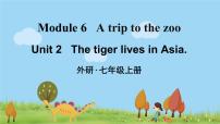 英语七年级上册Unit 2 The tiger lives in Asia.教课内容ppt课件