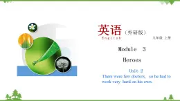 3.2 Unit 2 There were few doctors,so he had to work very  hard on his own-外研版九年级英语上册  同步教学课件