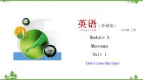 初中英语外研版 (新标准)九年级上册Module 5 MuseumsUnit 1 Don’t cross that rope!精品教学ppt课件