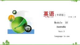 10.3 Unit 3 Language in use-外研版九年级英语上册  同步教学课件