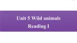 牛津译林版8A unit5 reading1 教案+课件+课时练+音频