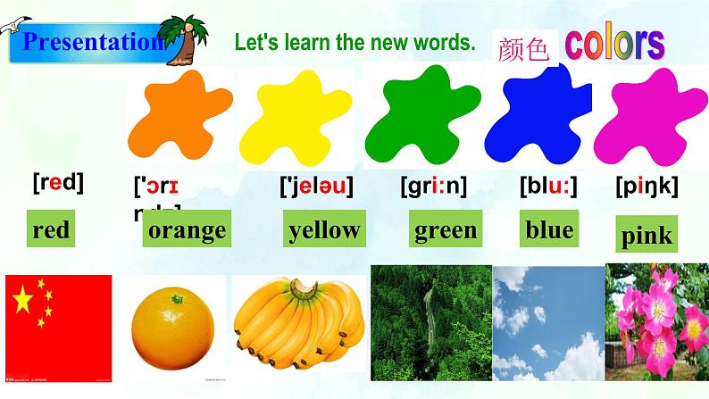 Unit2 Looking different Topic2 What does she look like SectionA 第3页