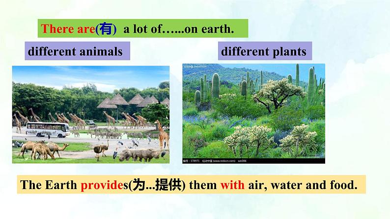 Module2 Unit3 The Earth Reading1第7页