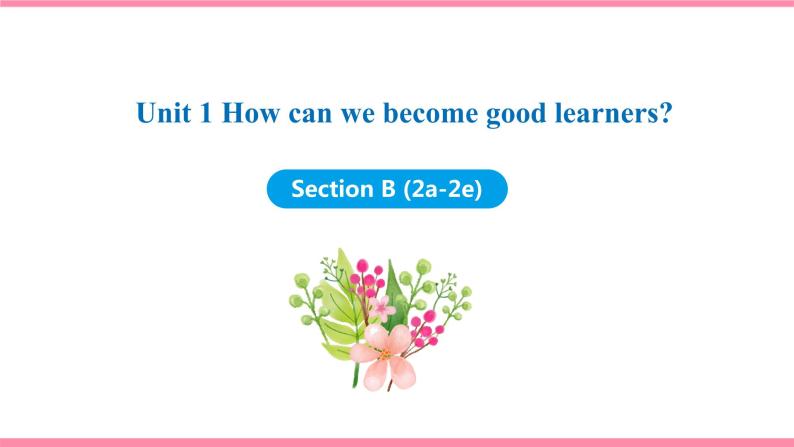 Unit 1 How can we become good learners Section B (2a-2e) （课件+教案） 2021-2022学年人教新目标英语九年级上册01