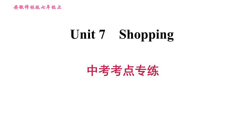 译林版七年级上册英语习题课件 Unit7 中考考点专练01