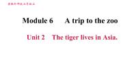 外研版 (新标准)七年级上册Unit 2 The tiger lives in Asia.习题ppt课件