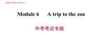 初中英语外研版 (新标准)七年级上册Module 6 A trip to the zoo综合与测试习题ppt课件