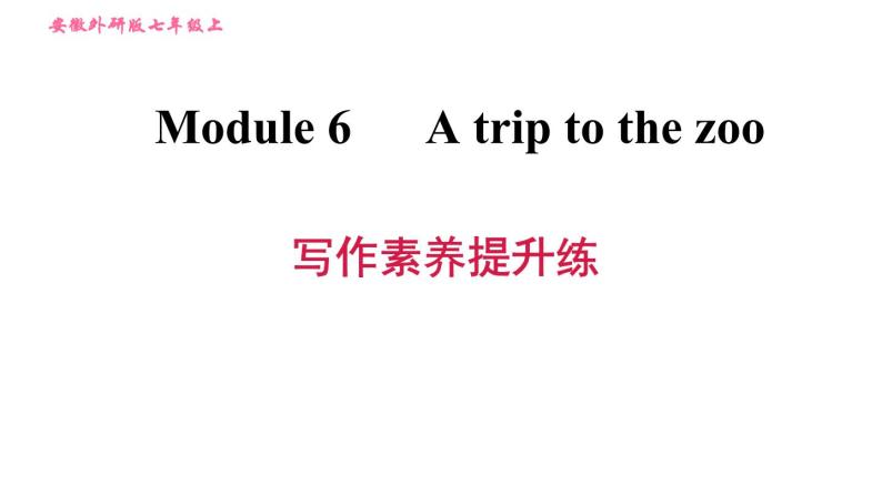 外研版七年级上册英语 Module6 习题课件01