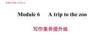 初中英语外研版 (新标准)七年级上册Module 6 A trip to the zoo综合与测试习题课件ppt