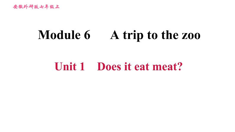 外研版七年级上册英语习题课件 Module6 Unit 1 Does it eat meat第1页