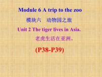 外研版 (新标准)七年级上册Module 6 A trip to the zooUnit 2 The tiger lives in Asia.教案配套ppt课件