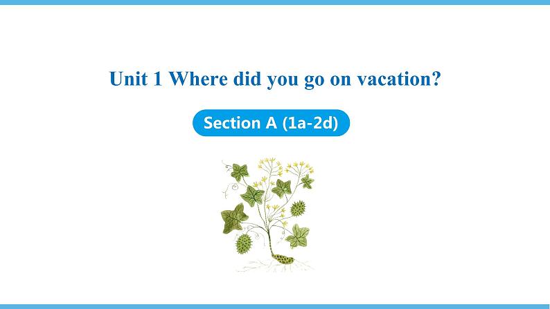 Unit 1 Where did you go on vacation Section A (1a-2d)课件2021-2022学年人教新目标英语八年级上册第1页