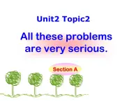 科普仁爱英语九上《Unit 2 Saving the EarthTopic2A》课件PPT