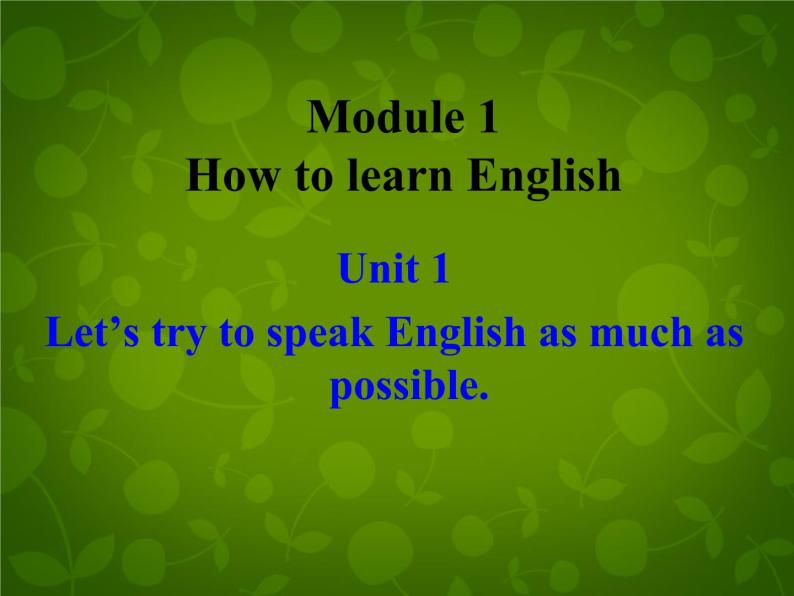 外研版八年级英语上册 Module 1 Unit 1 Let's try to speak English as much as possible课件 (1)02