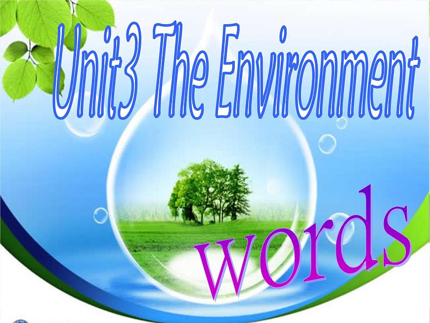 深圳市初中英語九年級(jí)級(jí)下Unit3 The environment 教學(xué)課件 words第2頁