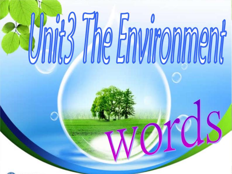 深圳市初中英语九年级级下Unit3 The environment 教学课件 words02