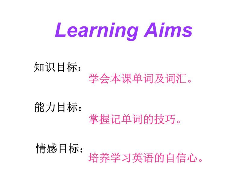 （新）冀教版七年级英语下册Unit+5+lesson+28+How+Do+I+Learn+English课件04