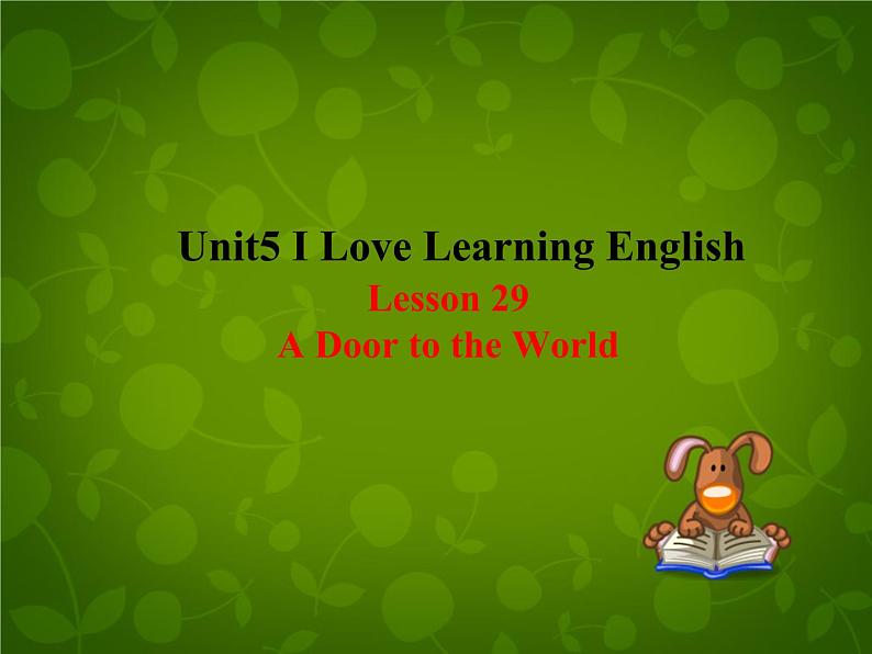 Unit 5 I Love Learning English Lesson 29 A Door to the World课件 (新版)冀教版七年级下册01