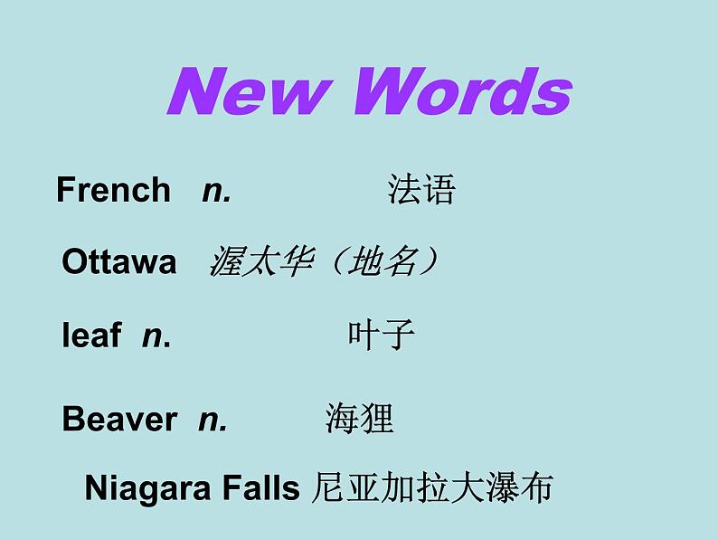 冀教版英语七年级上册 Unit 8 Countries around the World Lesson 46 Canada and the U.S. 课件08