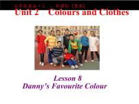 初中英语Lesson 8  Danny's Favourit Colour教课课件ppt