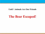 《The Bear Escaped!》Animals Are Our Friends PPT课件