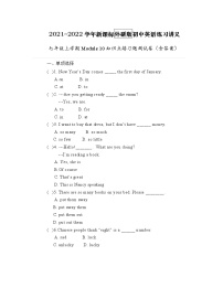 初中英语外研版 (新标准)七年级上册Module 10 Spring Festival综合与测试一课一练