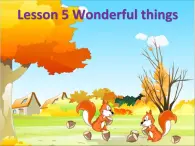 牛津译林starter 课件Lesson 5 Wonderful things（PPT16张）