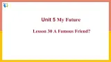 冀教版英语八年级上册 Lesson 30 课件+教案+练习