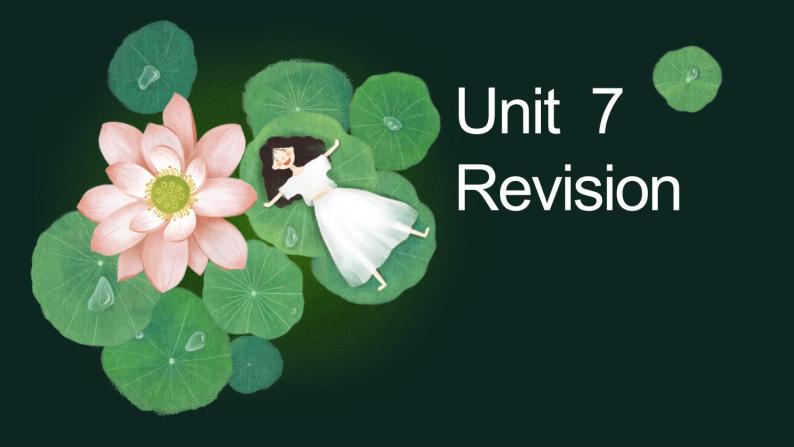 牛津译林版七下英语7B Unit 7 Revision复习课件+试卷01