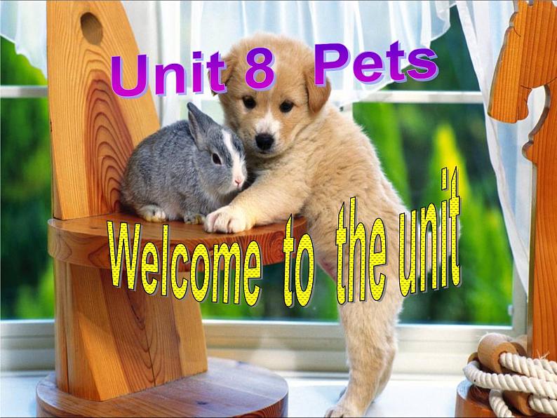 Welcome to the unit第2页