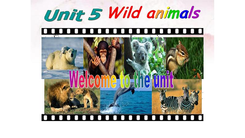 Unit5 Welcome to the unit课件-2021-2022学年牛津译林版八年级英语上册第1页