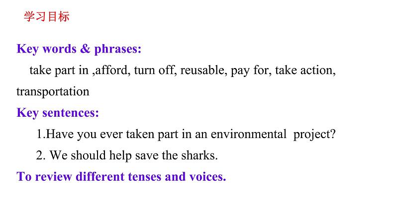 Unit 13 Section A(Grammar Focus-4c)课件 2021-2022学年人教版九年级英语全册第2页