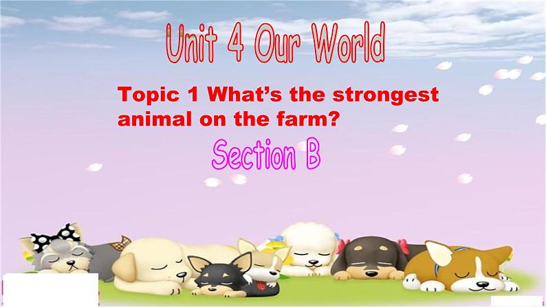 _Unit4 Topic1 SectionB 课件 2021-2022学年仁爱版英语八年级上册第1页