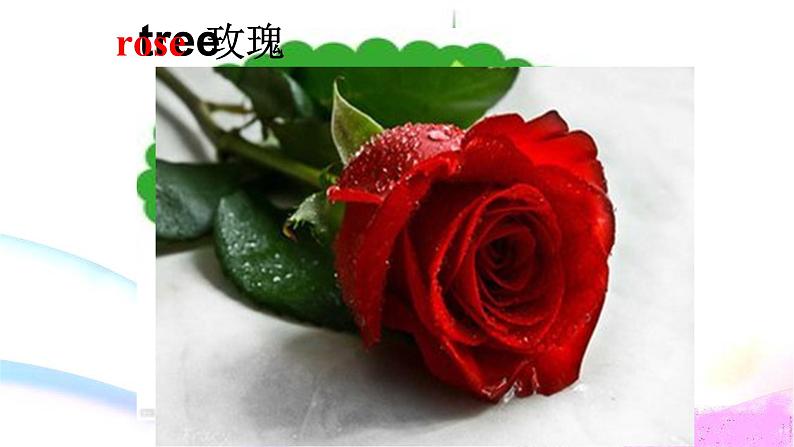 _Unit4 Topic1 SectionB 课件 2021-2022学年仁爱版英语八年级上册第8页