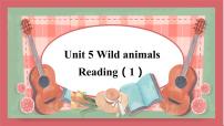 初中英语牛津译林版八年级上册Unit 5 Wild animals图文课件ppt