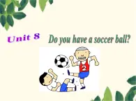 鲁教版 六年级上册 Unit 8 Do you have a soccer ball？ 课件