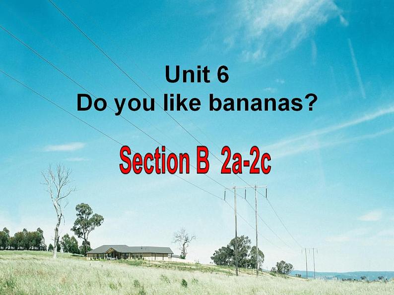 人教版七年级上册英语Unit 6 Section B 2a-2c课件 音频01