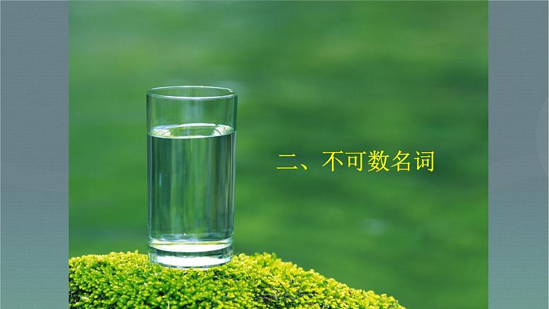 中考英语总复习名词优 质课件PPT第4页