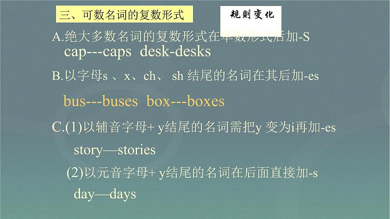 中考英语总复习名词优 质课件PPT第7页