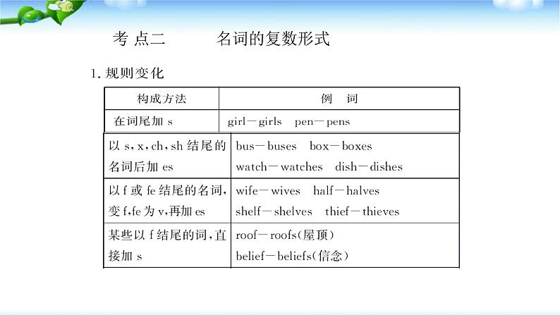 中考英语总复习名词优质 课件第7页