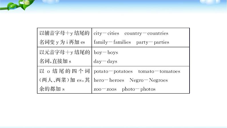 中考英语总复习名词优质 课件第8页