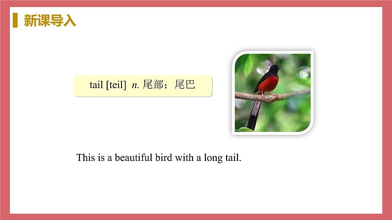Unit 3 Lesson 15 Tallor Short 教学课件 初中英语冀教版七年级上册(2021年)07