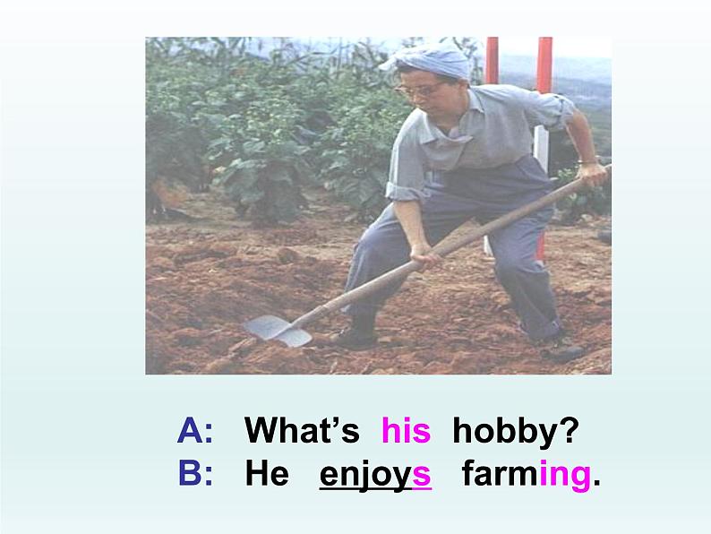 八年级英语上册 Unit 7 Lesson 37 What’s Your Hobby?课件 (新版)冀教版02