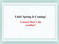 八年级英语下册 Unit1 Lesson1 课件