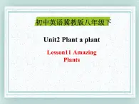 八年级英语下册 Unit 2 Lesson11 课件