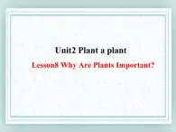 八年级英语下册 Unit 2 Lesson8 课件