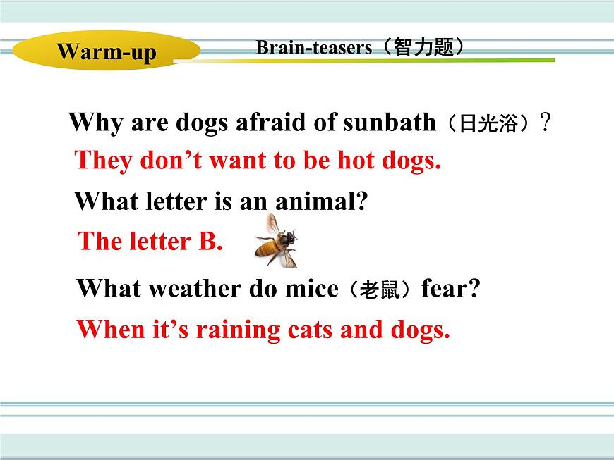 Unit 3 Lesson 14 課件第3頁
